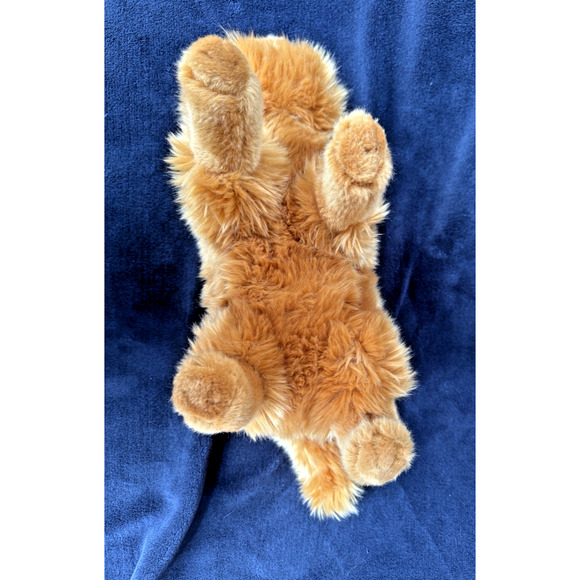 Universal Studios Wizarding World Harry Potter Crookshanks Hermione's Cat Plush - Picture 11 of 11